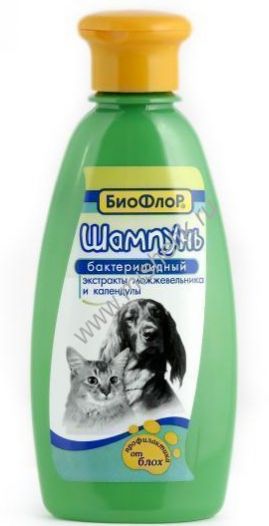 Купить В Аптеке Борисова Биофлор Купить В Аптеке Борисова Биофлор