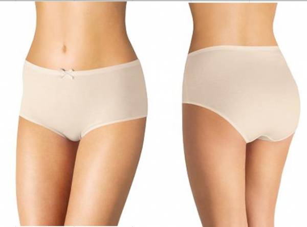 Плавки-слипы макси из коллекции Garden of Delights купить со скидкой в секс шопе  Женское белье, одежда  Пляжная одежда