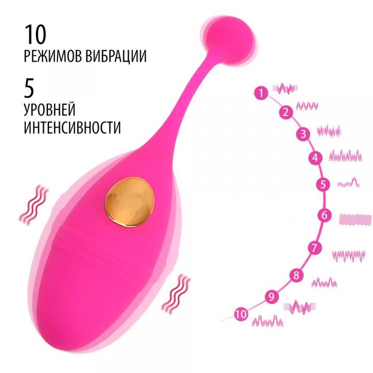 Виброяйцо с пультом Baile Eleanora, розовый BI-014027-1002 - Pretty Love - Вибрирующие яйца - Купить