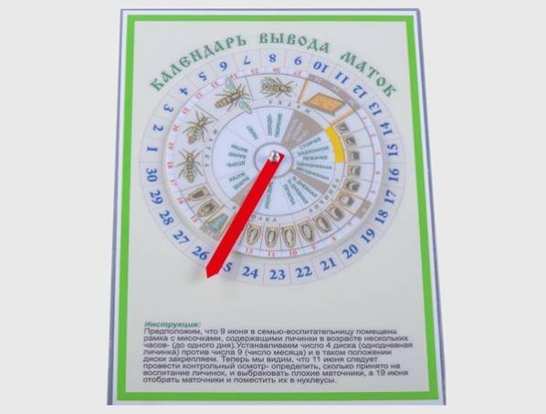 Календарь Вывода Маток Фото Распечатать — Картинки фотографии