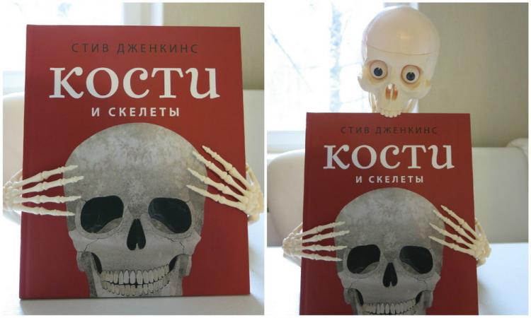 Кости и скелеты Стив Дженкинс. Книга кости. Детская книга про кости. Кости здоровым книга.