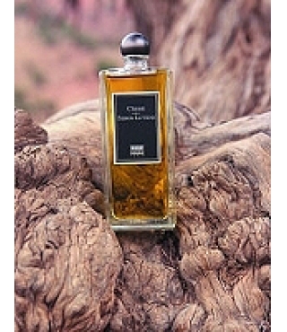 Lagerfeld vetiver bois. Серж лютанс Cedre. Karl Lagerfeld bois de Cedre 50 мл. Bois d Ambre Karl Lagerfeld 50 ml. Bois fragrantica.