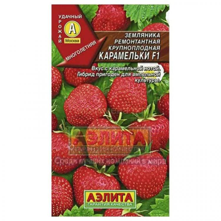Семена Клубники Купить В Самаре