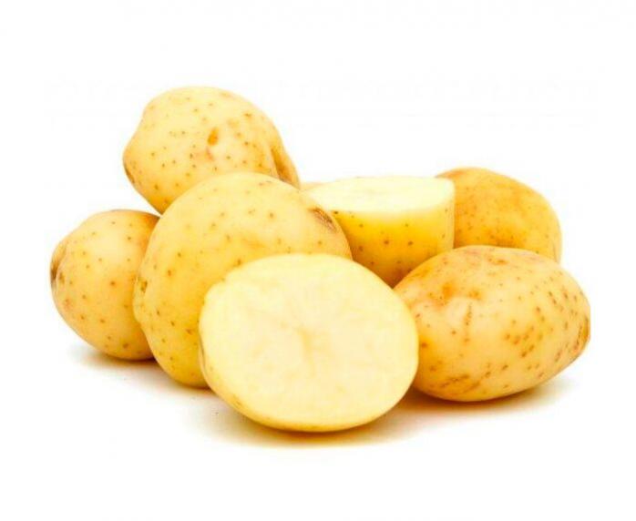 Триумф картофель характеристика отзывы. Картофель Рамона. Картофель Агрия. Картофель Маяк.