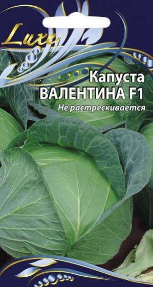 Капуста валентина описание отзывы фото Совместные покупки - Нижний Новгород - Капуста б/к Валентина F1 0,2гр. цв.п. ВХ 