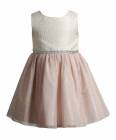 http://www.zulily.com/p/pink-roses-a-line-dress-toddler-girls-216425-4