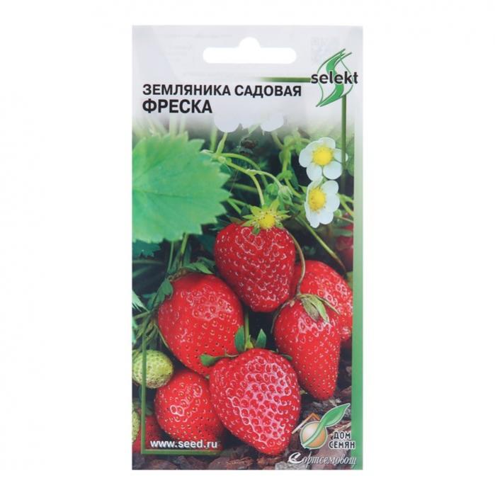 Семена Клубники Купить В Самаре