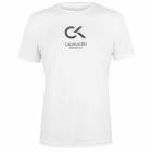 https://www.sportsdirect.com/calvin-klein-performance-logo-t-shirt-599