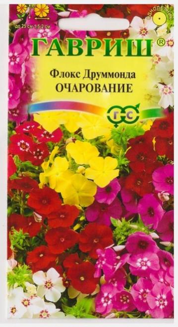 Флокс очарование. Флокс друммонда очарование смесь удачные семена 0,2гр (Гавриш). Цветочная смесь очарование. Цветочная смесь очарование фото. Флокс прелесть смесь фото.