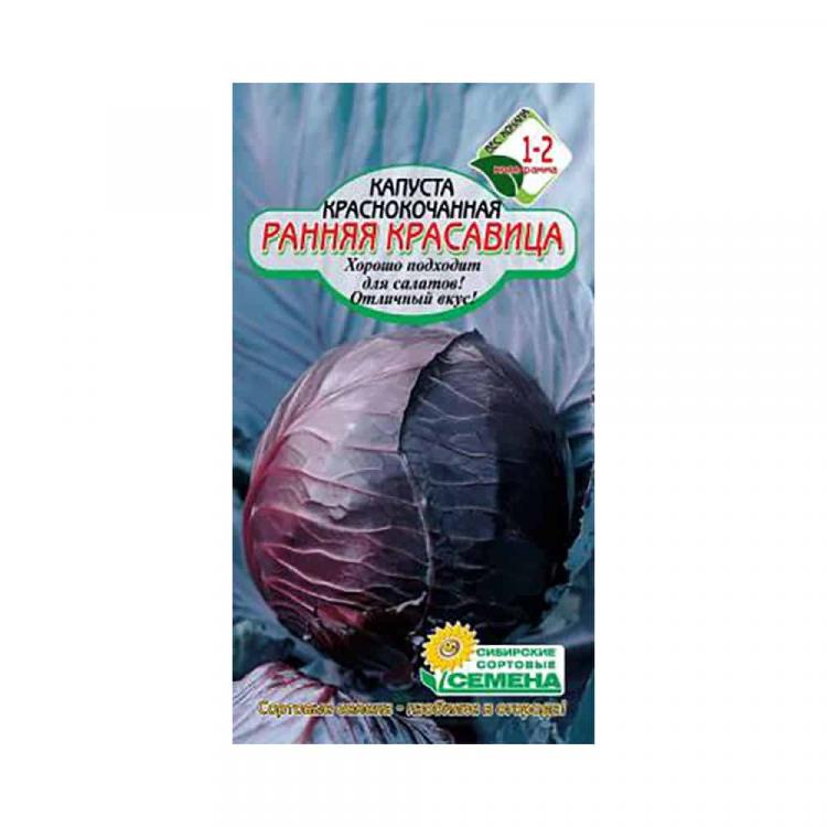Сп капуста краснодар. Капуста краснокочанная ранняя красавица. Капуста к/к ранняя красавица семена. Капуста краснокочанная ранняя красавица 0,3 г. Капуста краснокочанная ранняя красавица 0,5г НК.