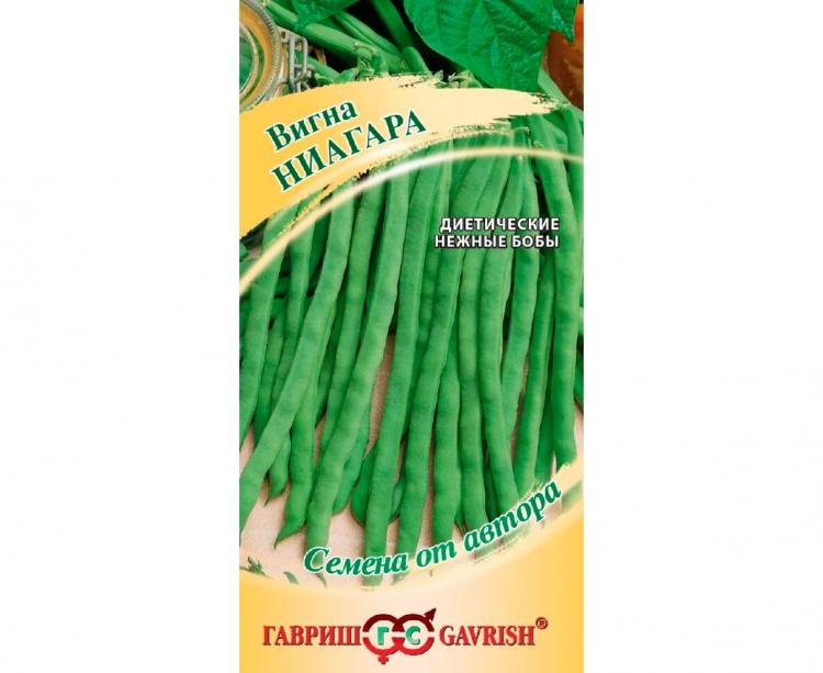 Купить Семена Вигны В Интернет Магазине