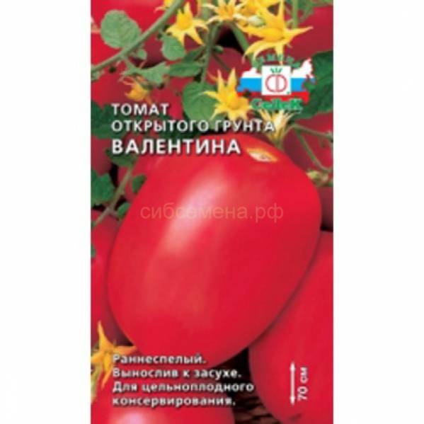 Томат валентина характеристика и описание сорта фото