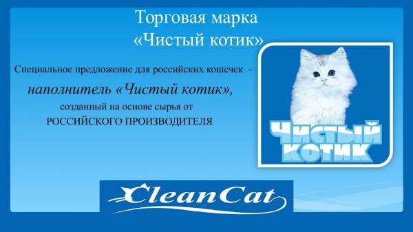 Чистый котик стерлитамак