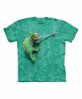 https://www.zulily.com/p/teal-climbing-chameleon-sublimated-tee-kids-2