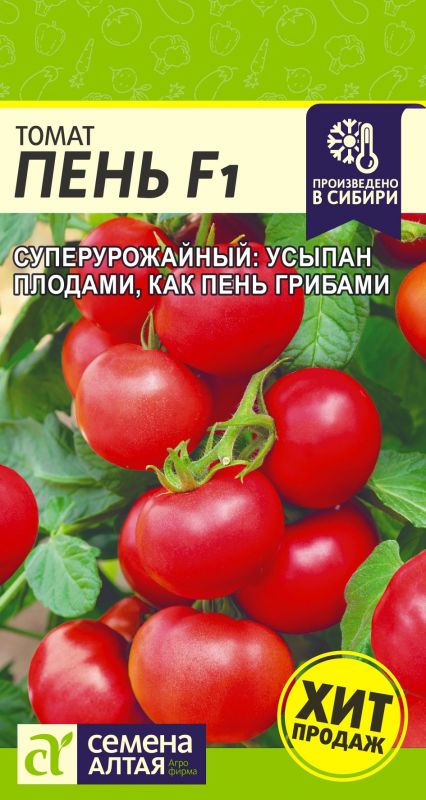 Томат Пень F1 Отзывы Фото