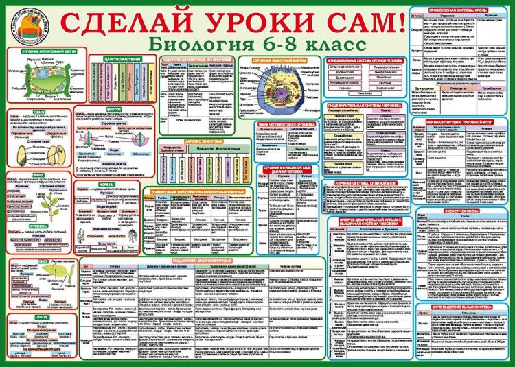 В Кабинете Биологии Опишите Фотографию Огэ