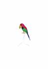 https://www.tesco.com/direct/bristol-novelty-feathered-parrot-42cm/282