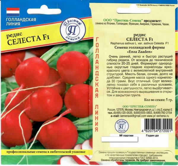 Редис сорта фото описание