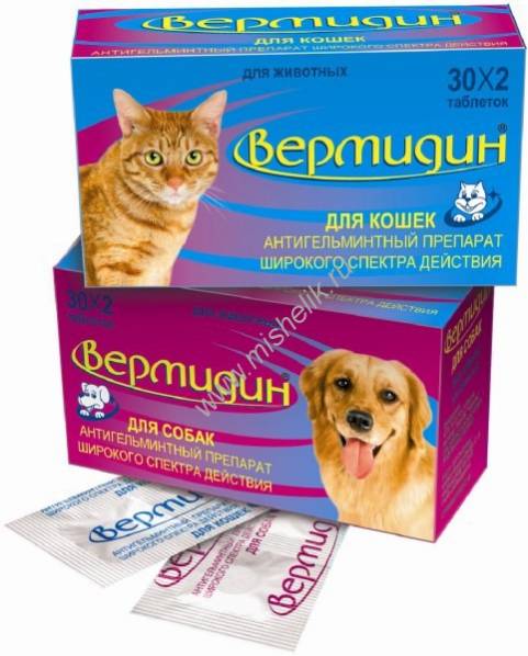 Таблетки от глистов для кошек дирофен. Таблетки антигельминтные для кошек. Празител для котят суспензия. Лучшее противоглистное для кошек. Лучшее противоглистное для кошек.