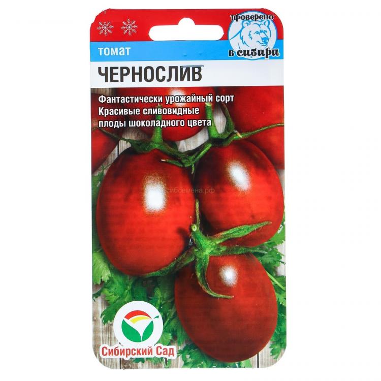 Сорт томата чернослив. Томат Карапуз. Томат Томск. Чернослив томаты описание сорта.