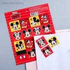 Наклейки бумажные "Mickey", Микки Маус, 17 х 20 см