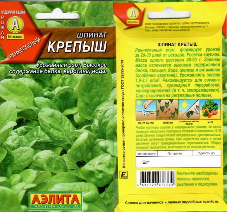 Семенной картофель крепыш. Сорт картошки крепыш. Сорт картофеля крепыш. Описание сорта крепыш. Щавель сорта крепыш.