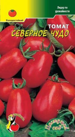 Томат Томск Отзывы Фото