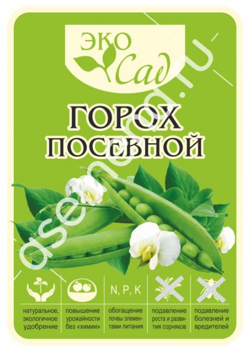 Горох посевной. Семена Алтая. Дача семена Алтая.