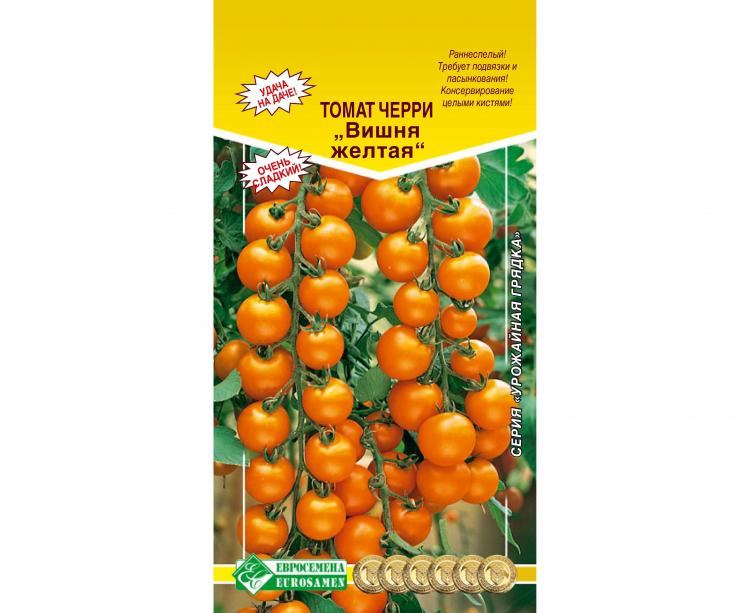 Черешня дрогана красная. Томат черри вишня красная. Томат черри вишня красная. Фиолетовая вишня. Вишня красная вишня желтая.