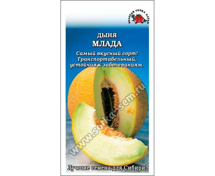 Дыня Птичье Молоко Семена Алтая Купить