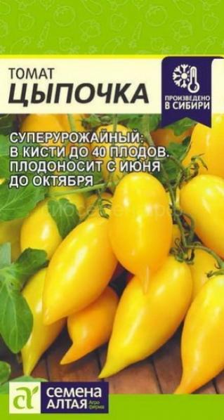 Томат Цыпочка Фото
