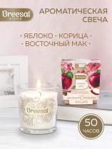 Breesal ароматическая свеча Aroma Sphere «Настроение праздника» 170г (
