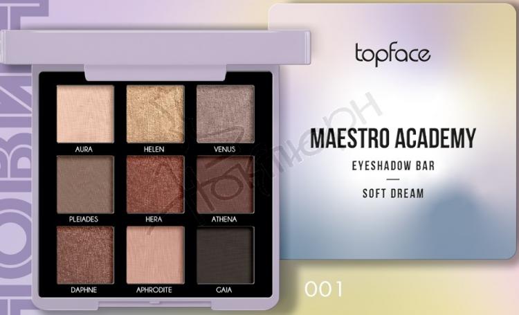 Topface maestro academy