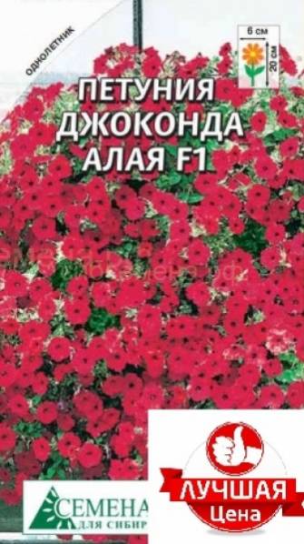 Интернет Магазин Петуния Томск Каталог