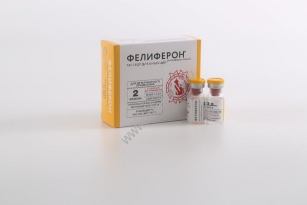 Фелиферон для кошек цена