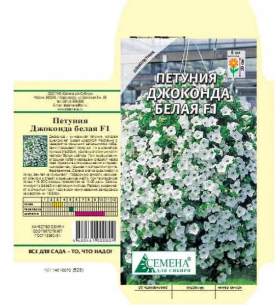 петуния джоконда белая. петуния фортуния джоконда. петуния фортуния джоконда. петуния минифлора бэби джоконда вайт. петуния джоконда белая.