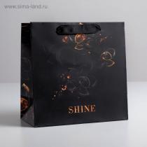 Пакет ламинированный квадратный Shine, 22 × 22 × 11 см