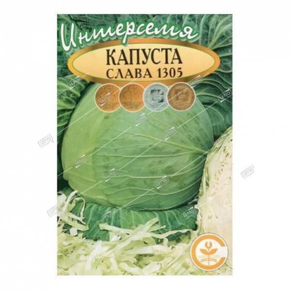 Сп капуста краснодар. Семена Гавриш капуста белокочанная Слава 1305 0,5 г. Капуста б/к Слава 1305 "Кольчуга New". Семена Гавриш удачные семена капуста белокочанная Слава 1305 0,5 г. 4607171980979+Семена+капуста+б+к+Слава+1305.