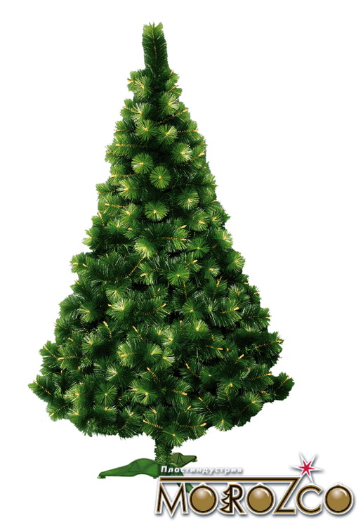 Сосна Крымская Купить В Краснодаре