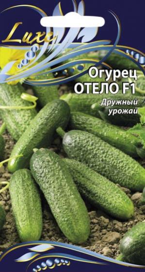 Огурец изобильный f1. Семена огурец спб. Огурец рубинштейн f1. Огурец донской пассаж седек. Черношипые огурцы семена алтая.